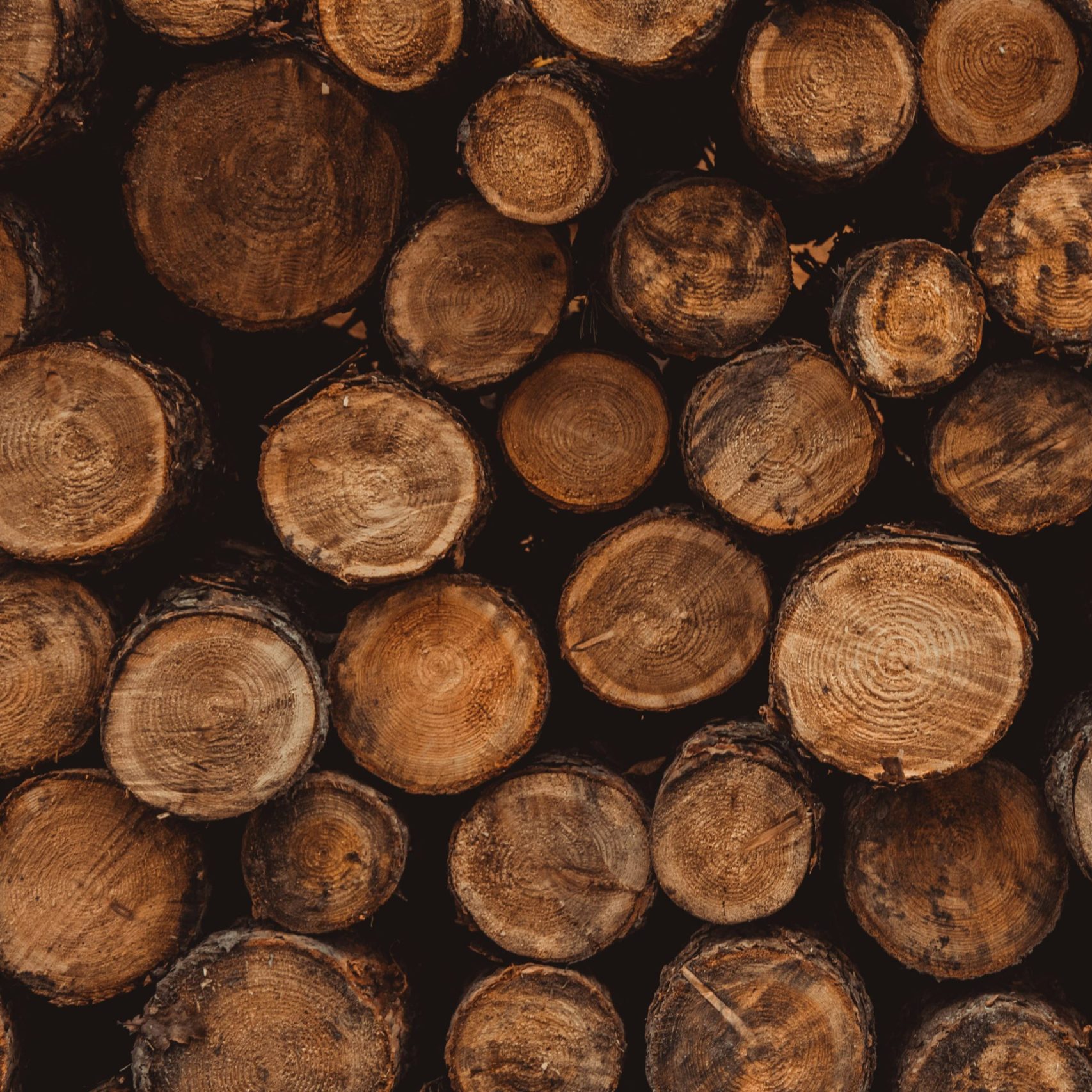 photo 1607371942037 e2d6d867b7cb