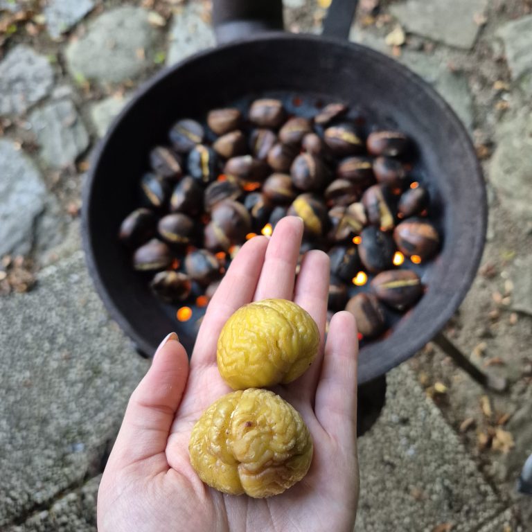 kmetijapodlesnikmaroni