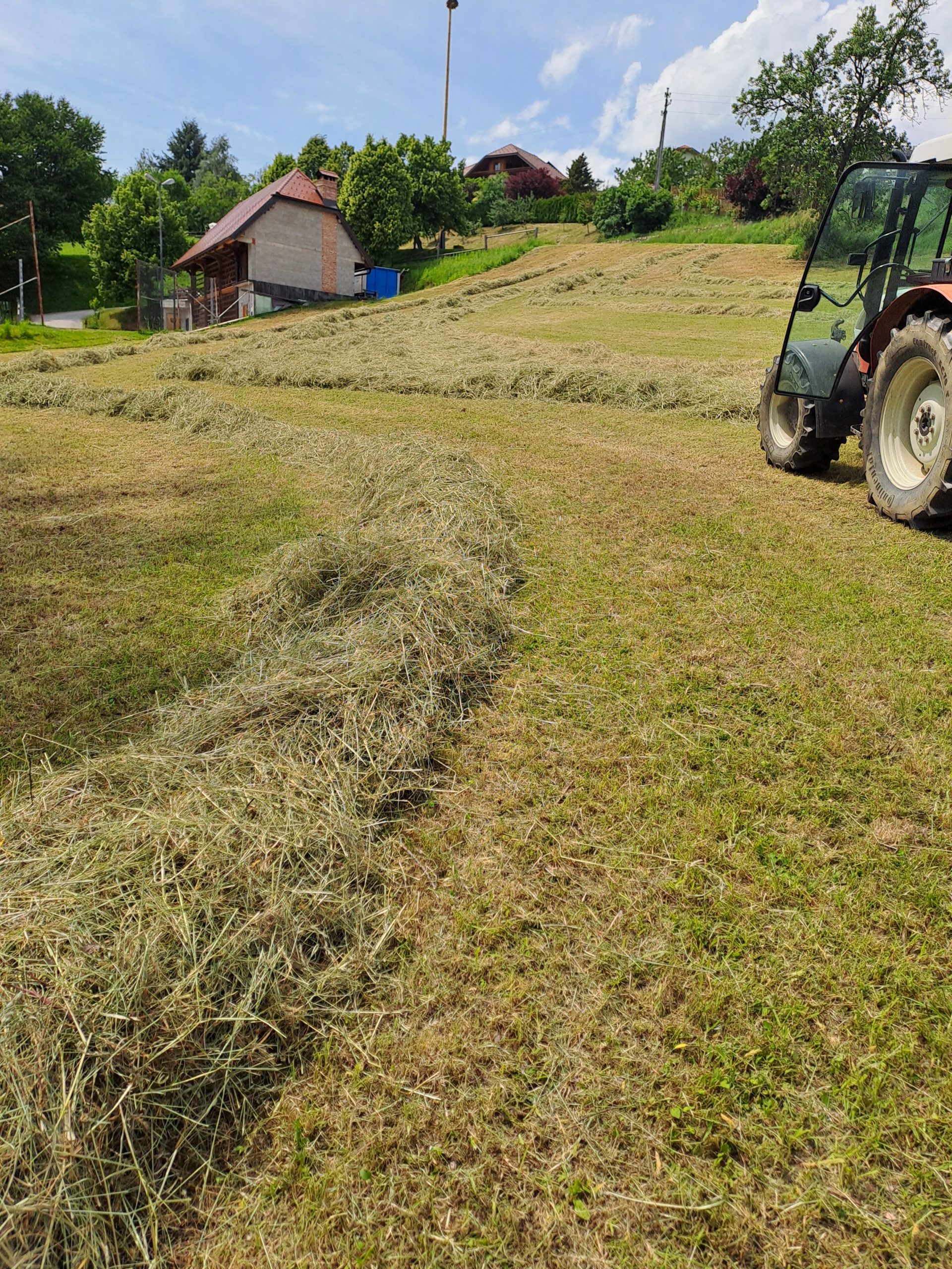 kmetijapodlesnikstoritve2