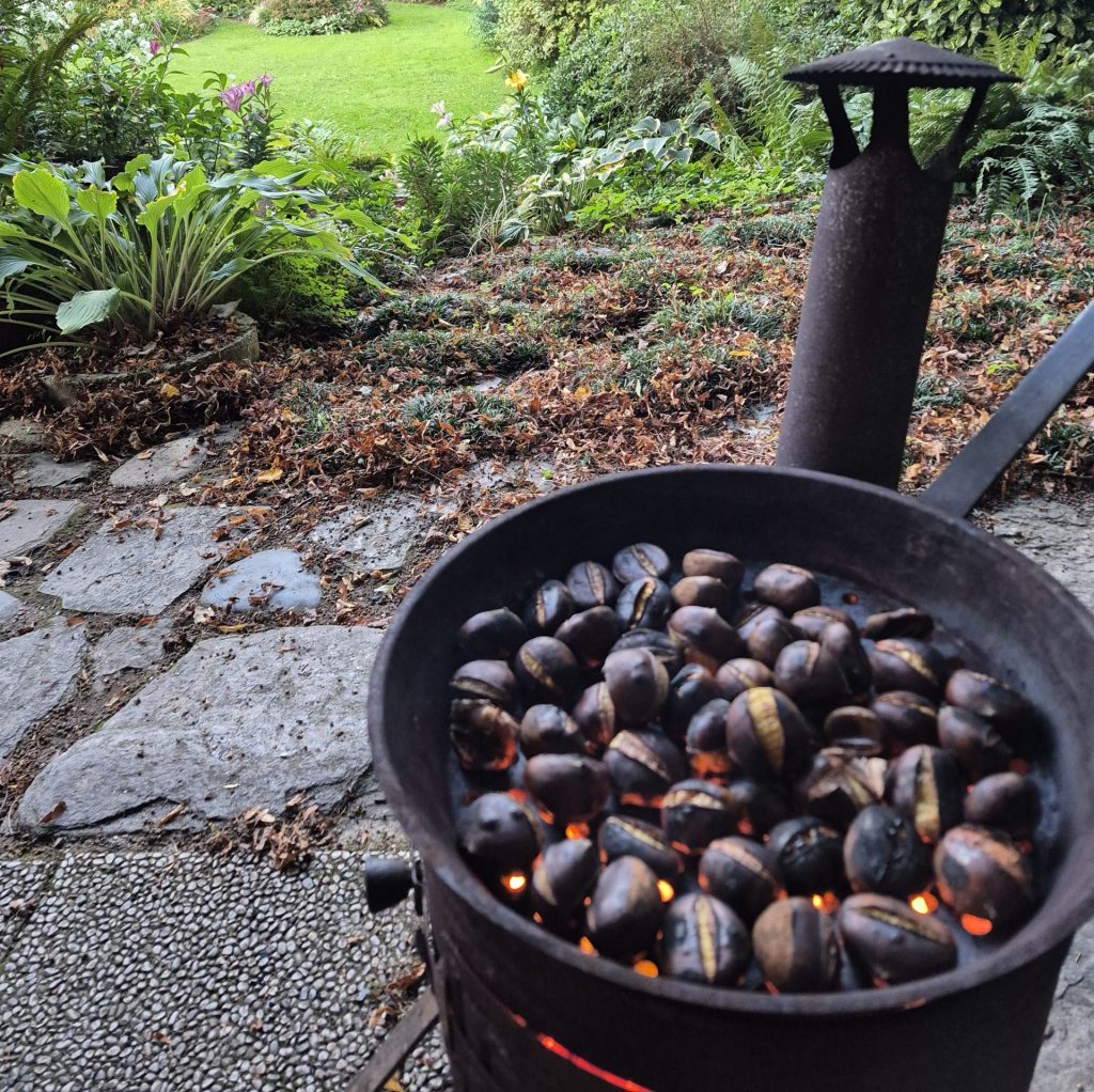 kostanji kmetijapodlesnik